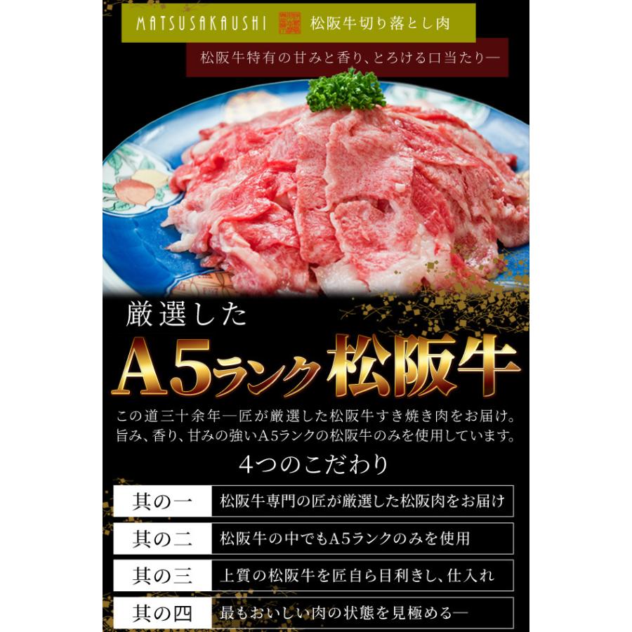 松阪牛 伊勢海老 詰合せ 美し国 三重 伊勢路 −喜−ギフト パッケージ Ａ５ランク厳選 松阪牛 切り落とし 肉 ２００ｇ 三重県産 伊勢海老 １尾 詰合せ