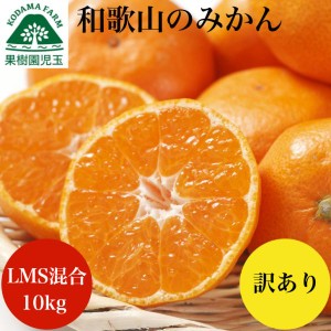 みかん 10kg 訳あり 和歌山 送料無料 ご自宅用 箱買い