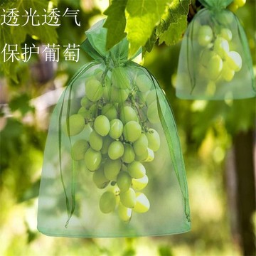 【種植必備】 水果套袋 多入組合 無花果 雪紗袋 防蟲套袋 百香果網袋 絲瓜套袋 黃金果 酪梨套袋 防鳥 防果蠅