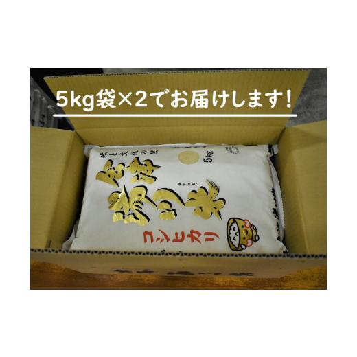 ふるさと納税 福島県 湯川村 48≪令和5年度 新米≫湯川村産コシヒカリ　玄米30kg(2月4月6月)