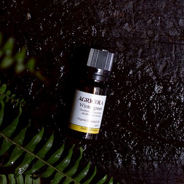 有機冬青精油 - 德國原裝進口 純植物萃取天然擴香