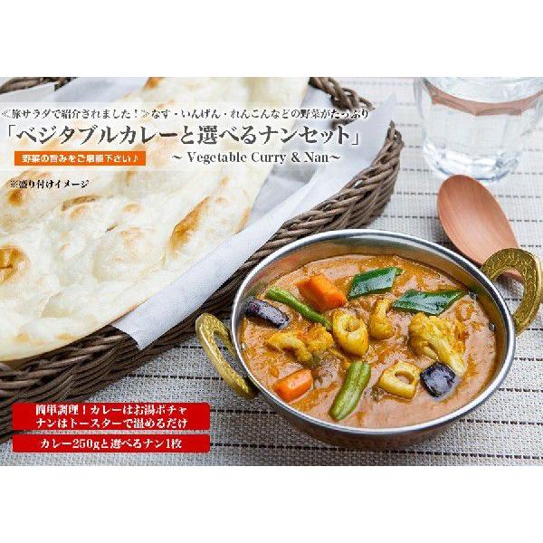 カレー ベジタブルカレー（250g）＆ナン(1枚)セット インドカレー アールティー