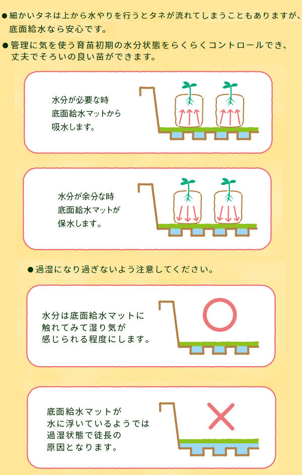 ジフィーベーストレー2枚入り・水やりが簡単になるトレー（底面給水トレーとマット)