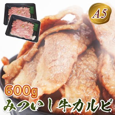 ふるさと納税 新ひだか町 北海道産 黒毛和牛 みついし牛 A5焼肉用カルビ計600g(300g×2)