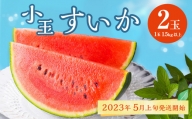 熊本県産 小玉すいか 2玉 スイカ 果物 フルーツ くだもの 西瓜