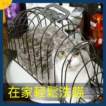 宅配到府😊洗貓籠 貓吹風籠子 洗貓神器 防抓咬吹幹貓洗澡籠 袋固定貓咪用品 防抓貓籠