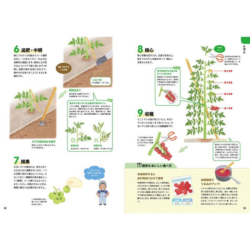 達人が教える農家直伝 おいしい野菜づくり