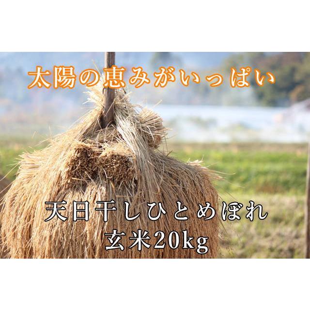 令和4年産 宮城県産 ひとめぼれ 20kg（玄米 10kg × 2袋） 宮城県 登米産 一等米 米 20kg 健康食 未調整玄米 ＊沖縄県送料3000円