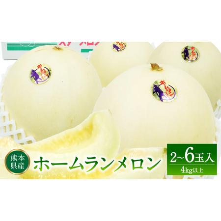 ふるさと納税 熊本県産 ホームランメロン 2-6玉 4kg以上 熊本県八代市