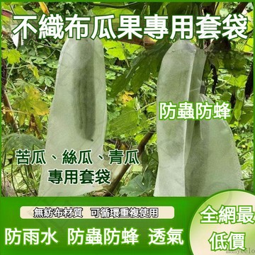 現貨隔日到💥100入全網最低💖不織布套袋 水果套袋 絲瓜套袋 防蟲網袋 芒果套袋 苦瓜套袋 防蟲袋 套袋 水果套袋 果套
