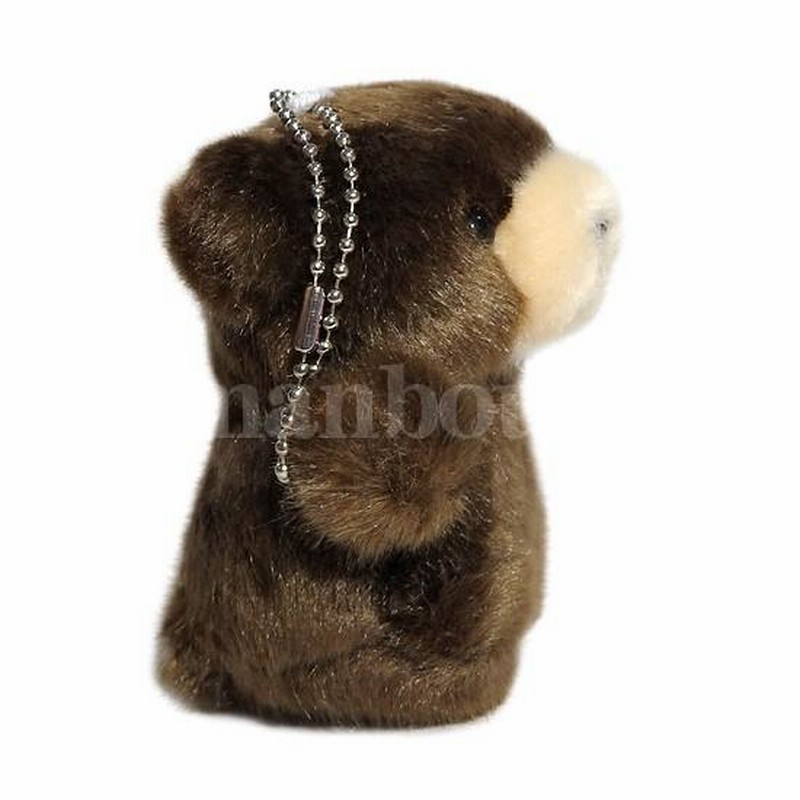 ぬいぐるみ くま 動物 キュート販売 CUTE フォレストエンジェル