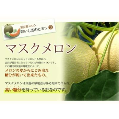 ふるさと納税 富良野市 2024年発送 富良野メロン　3Lサイズ(2kg)赤肉 4玉入り 計8kg