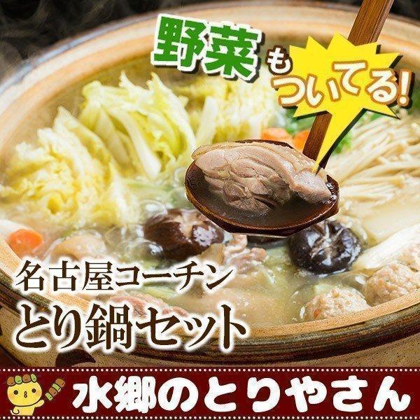 お鍋セット 名古屋コーチンとり鍋セット 水炊き 鳥鍋（野菜付き） 名古屋コーチン コーチン鍋 地鶏 送料無料   冷蔵限定配送