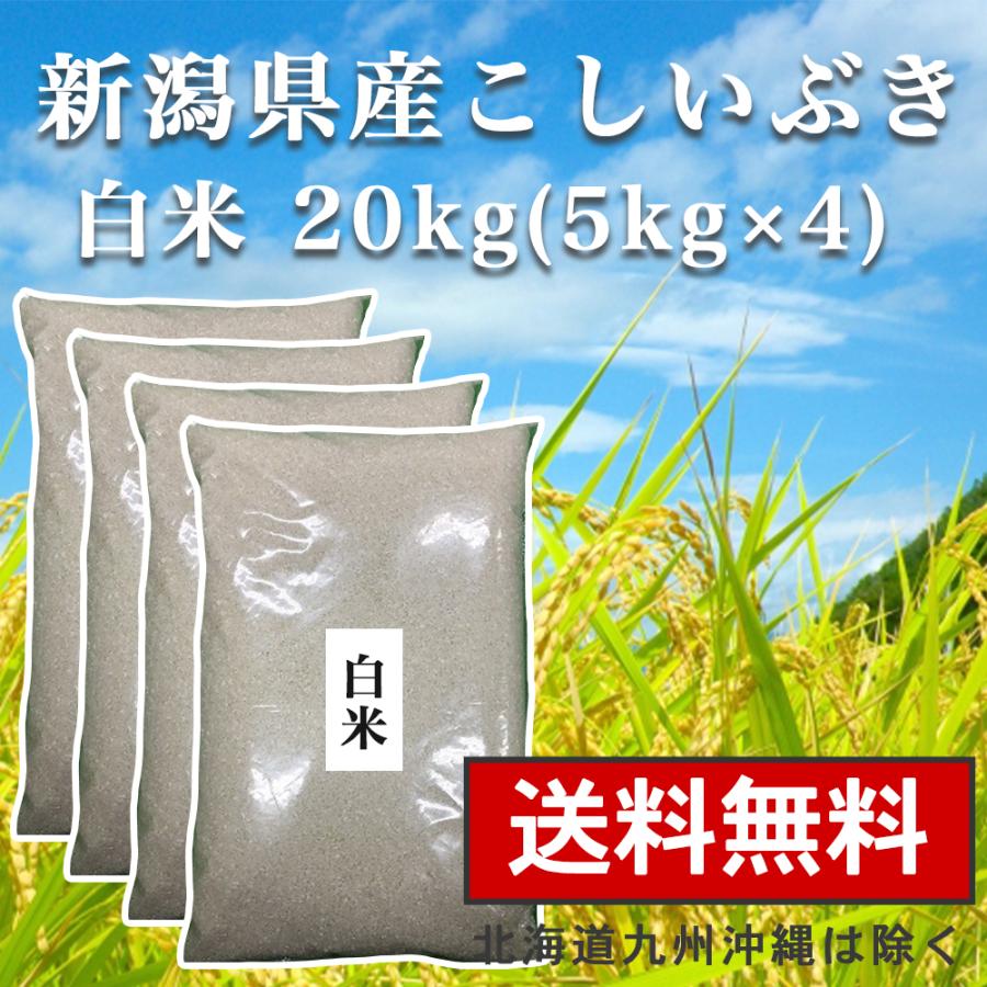 白米 20kg(5kg×4) 送料無料 新潟県産 お米 こしいぶき