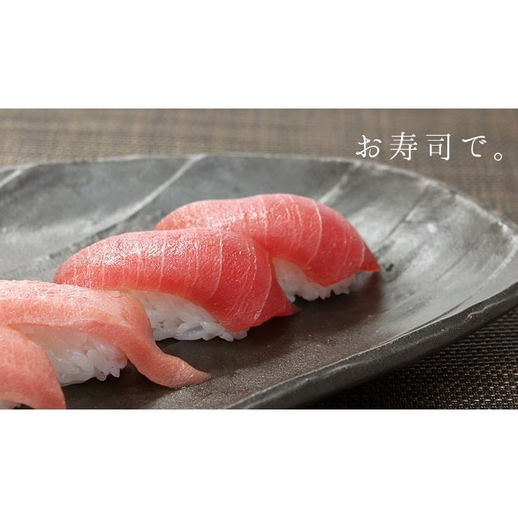 本マグロ中トロ 1kg 送料無料 解凍レシピ付 刺身 海鮮 食べ物 メガ盛り《pbt-bf14》〈bf1〉yd9[[本鮪中トロセット1kg]