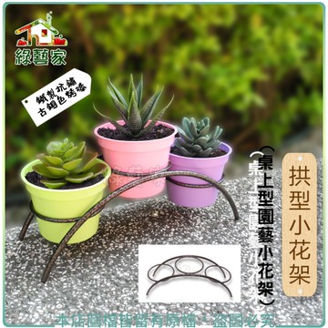 【綠藝家】拱型小花架(桌上型園藝小花架)