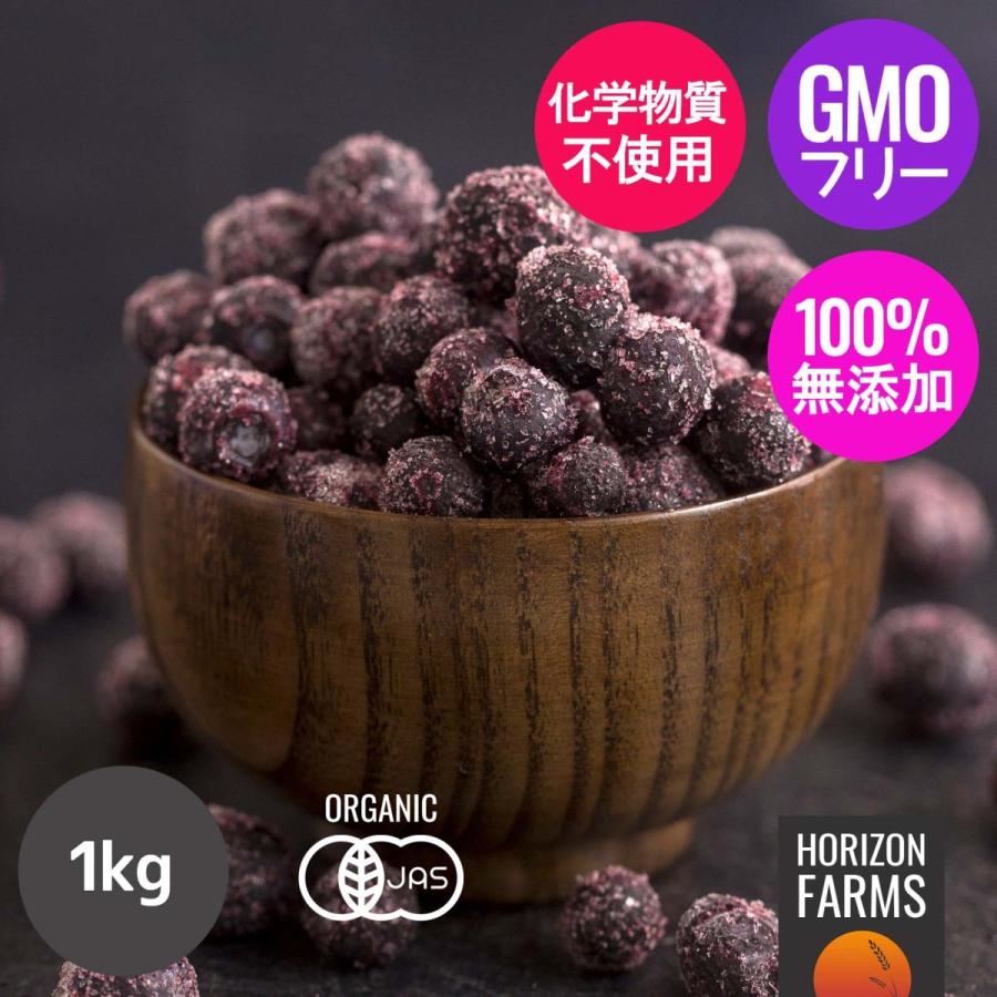 HORIZON FARMS 有機 JAS オーガニック 冷凍 ワイルド ブルーベリー 野生種 カナダ産 1kg