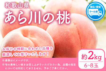 桃 もも あら川の桃 和歌山県産 紀州 の名産 旬の桃厳選 約2kg 6-8玉入り 《2024年6月中旬-8月中旬頃より順次出荷》 果物 フルーツ お取り寄せ 和歌山 予約 あかつき 紀の川 あらかわ 白鳳 日川白鳳 八旗白鳳 清水白桃 川中島白桃 つきあかり