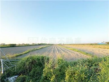 ✨低價入手｜將軍角帶圍｜方正美農地｜台南市將軍區角帶圍