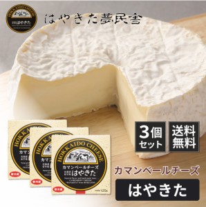 送料無料 カマンベールチーズ はやきた 120g×3個セット 北海道限定 カマンベールチーズ ワイン ギフト ナチュラルチーズコンテスト お歳