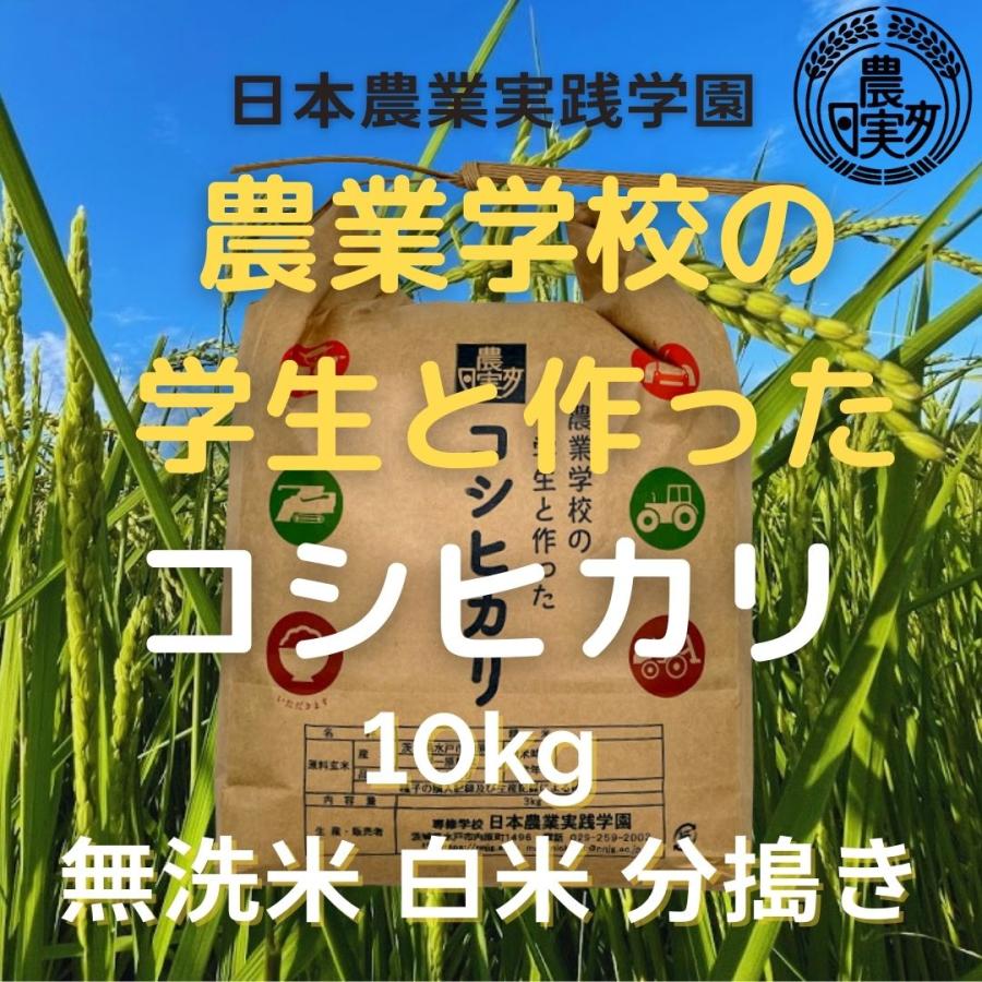 農業学校が作ったコシヒカリ10kg　無洗米　白米　７分つき　３分つき　精米した て　こしひかり　茨城県産　米