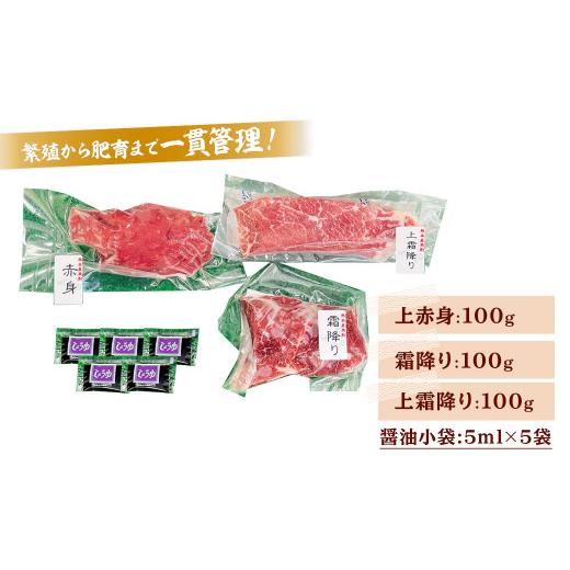 ふるさと納税 熊本県 熊本市 純熊本県産 馬刺しセット 馬刺し 300g 馬肉 上赤身 霜降り 上霜降り