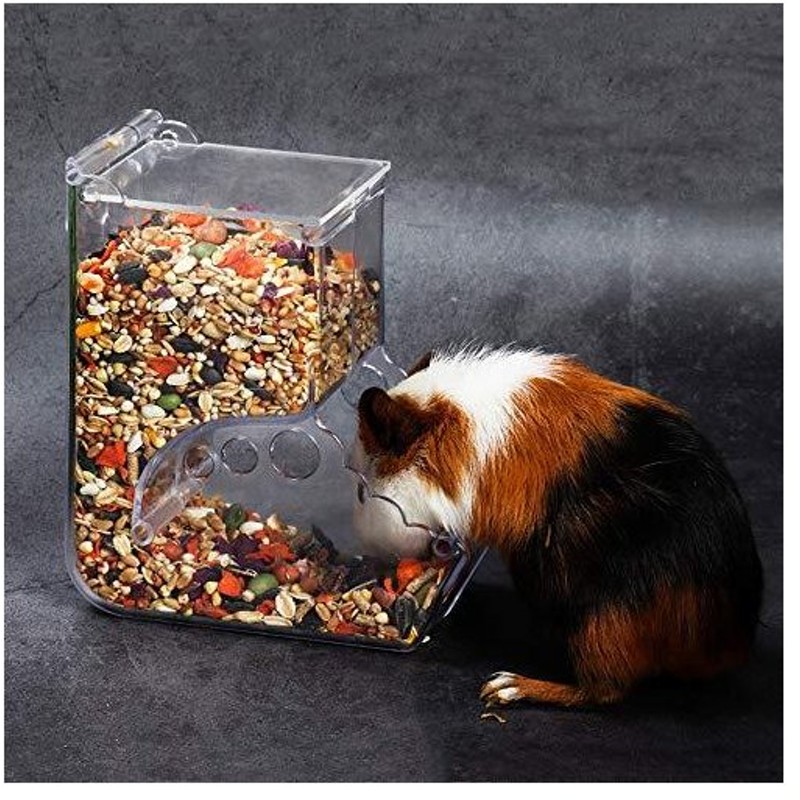 Gifty 自動給餌器 ハムスター 餌入れ アクリル 小動物 エサ 食器 固定式 ハリネズミ フード 餌やり リス モルモット フェレット 給餌 自動 通販 Lineポイント最大get Lineショッピング
