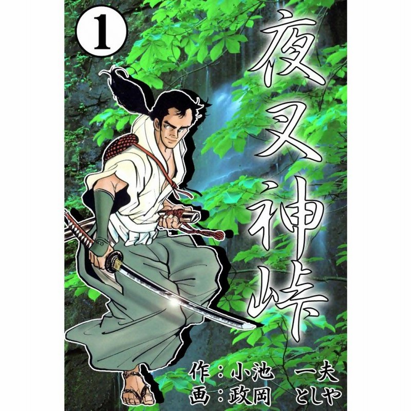 夜叉神峠 １/小池書院/政岡としや | www.fleettracktz.com