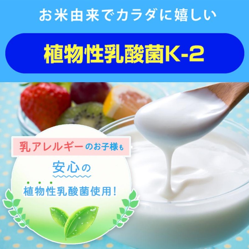 カルシウムグミV+ イチゴ 2箱セット60日分 子供 成長 栄養 サプリ