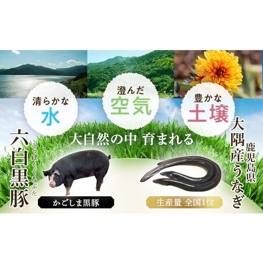 ふるさと納税 鹿児島県 肝付町 B02103 ふるさと2選A うなぎ(有頭・125g以上×2尾) と焼豚(約200g×5個・計約1kg)のセット