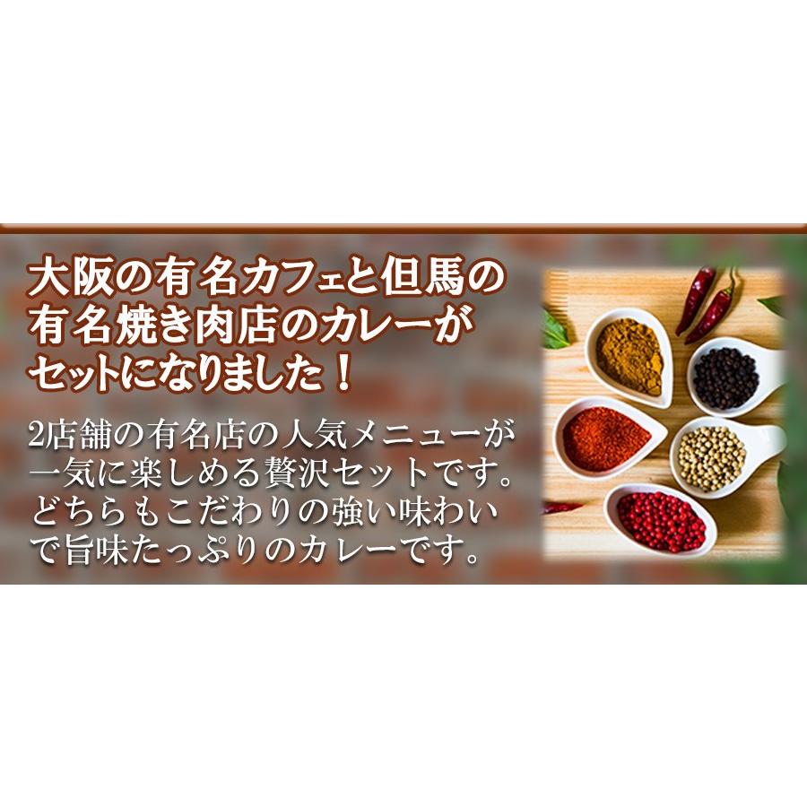 贅沢な一食　レトルトカレー2種6食セット カフェ＆お肉専門店の味 ご当地カレー レトルト食品 ミッション