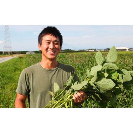 ふるさと納税 神の枝豆と呼ばれた與惣兵衛（よそべい）の冷凍だだちゃ豆800ｇ 山形県鶴岡市