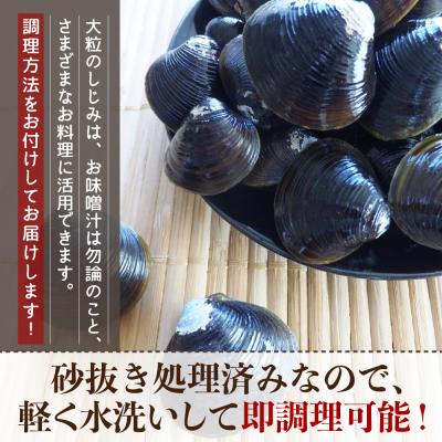 ふるさと納税 五所川原市 津軽十三湖産 大粒しじみ800g(冷凍・砂抜き済)