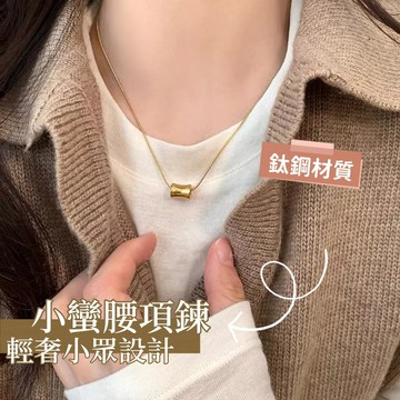 氣質簡約小蠻腰項鍊女 輕奢小眾設計 冷淡風高級鎖骨鏈