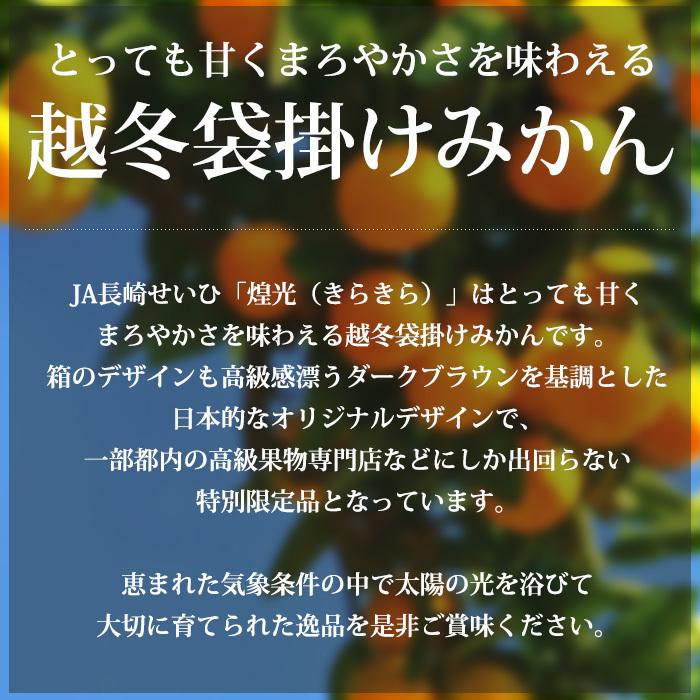 みかん 長崎県産 煌光（きらきら） 越冬袋掛けみかん 約2.5kg 小〜中サイズ 30〜40個