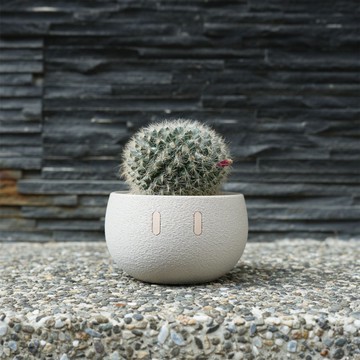 Mini_EMOO/盆栽/室內植物/多肉植物/盆器/植物/交換禮物/聖誕禮