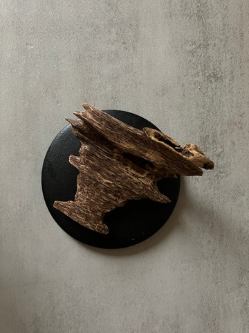 【雙尖蟻漏老料】野生芽莊沉香老料SS23(8.0克)