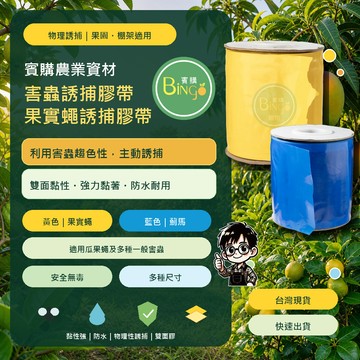 賓購 果蠅誘捕膠帶 黏果實蠅膠帶 飛蟲誘捕帶 黏蠅 陷阱帶 針蜂蚊蟲帶 果蠅剋星 果蠅誘捕帶 捕果蠅帶 薊馬 蚜蟲 飛蠅