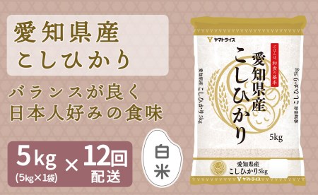 愛知県産コシヒカリ 5kg ※定期便12回 安心安全なヤマトライス H074-554