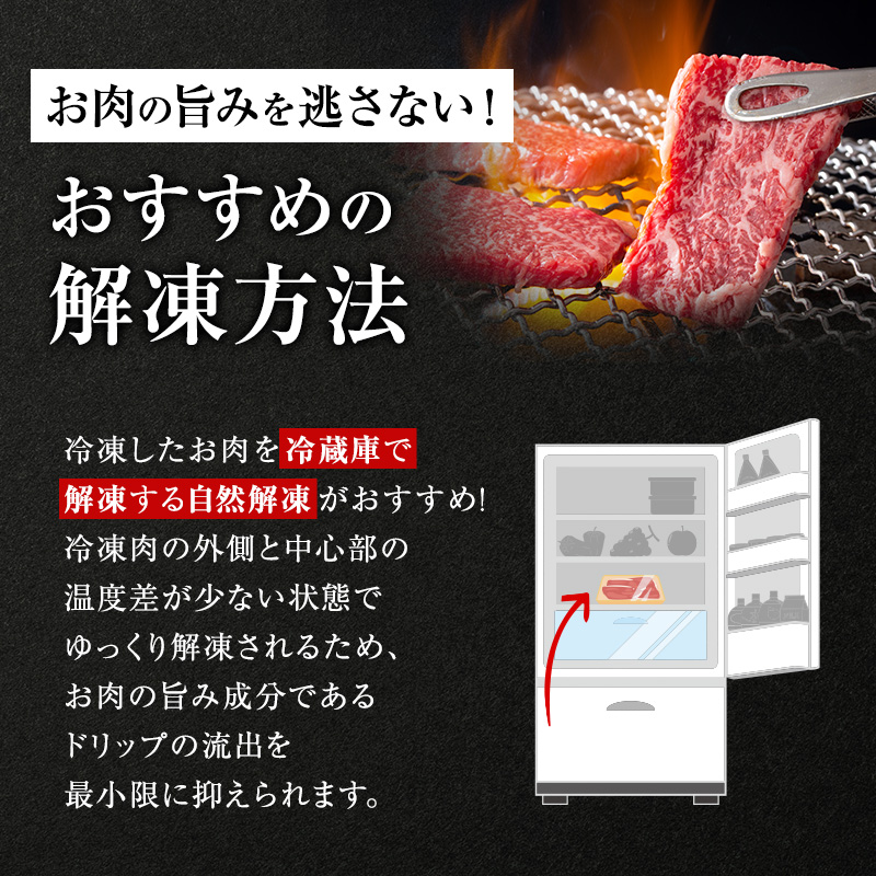 牛肉 飛騨牛 焼き肉 セット ロース 又は 肩ロース 600ｇ 黒毛和牛 Ａ5 美味しい お肉 牛 肉 和牛 焼肉 BBQ バーベキュー 