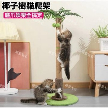 【寵愛毛宅】椰子樹貓抓柱 貓抓板 貓爬架 貓玩具 貓抓柱 逗貓球 貓咪磨爪柱 立式貓抓柱 小型貓跳台