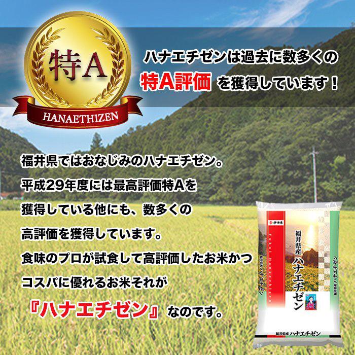 新米 令和4年産 福井県産 ハナエチゼン 5kg×2袋 10kg 米 お米 白米 おこめ 華越前 精米 単一原料米 ブランド米 10キロ 送料無料 国内産 国産