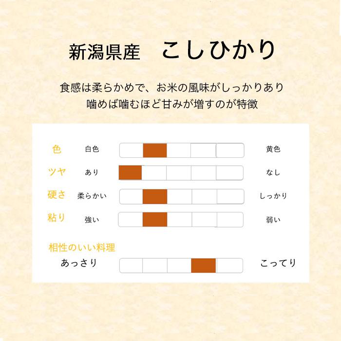 こしひかり 5kg 令和4年産 新潟県産 米 お米 白米 おこめ 精米 単一原料米 ブランド米 5キロ 送料無料 国内産 国産