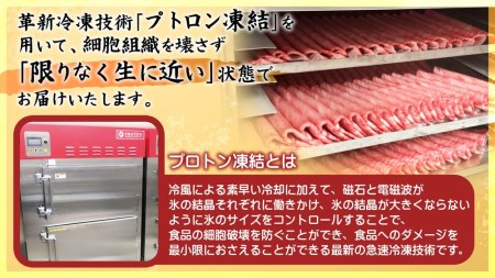 近江牛A5ランクサーロインステーキ180g×2枚