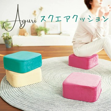 Cogit Aguri 亮彩坐墊 靠墊 腳墊 趴墊 午睡枕