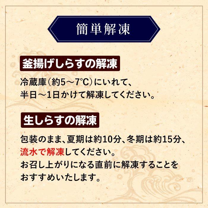 鮮度抜群！静岡県産 生しらす＆釜揚げしらす1kgセット シラス しらす 生シラス 釜揚げ 冷凍 用宗港 駿河湾 しらす丼 静岡産 グルメ