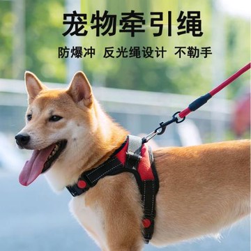 狗繩寵物反光牽引繩尼龍圓繩狗鏈防爆沖潛水料手柄P遛狗繩套裝批