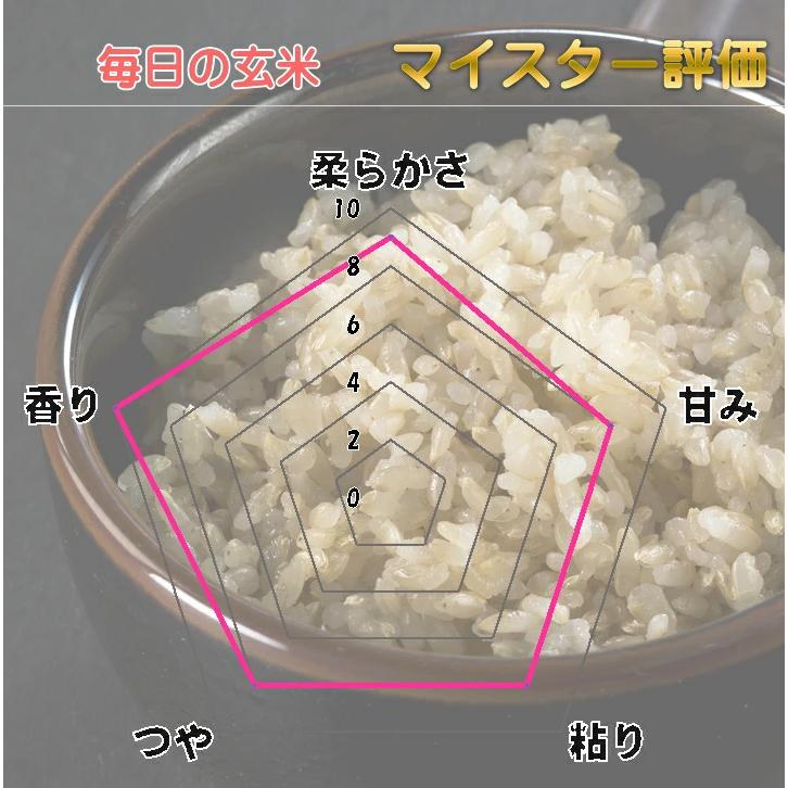 玄米 5kg 毎日の玄米 無洗米 送料無料 ５ｋｇ 国産 米 5キロ