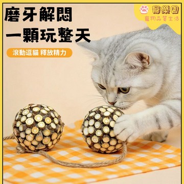 貓咪玩具 木天蓼貓玩具 逗貓球 貓咪磨牙神器 磨牙潔齒 清新口氣 小貓自嗨解悶玩具 寵物互動玩具 貓咪解壓神器 貓咪用品