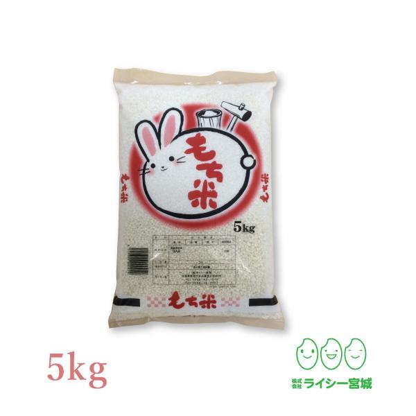 餅米 みやこがねもち 5kg 令和4年産 宮城県産 もち米 送料無料